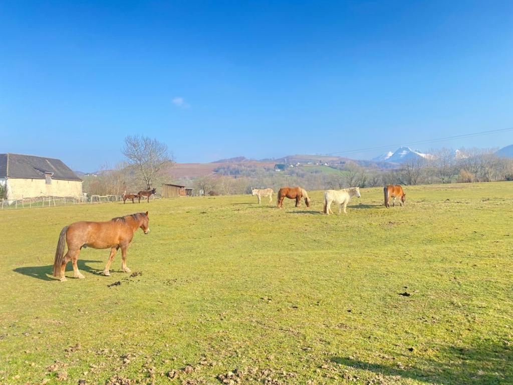 Chateau Porthos Tranquillite Des Pyrenees Lanne-en-Baretous Bagian luar foto